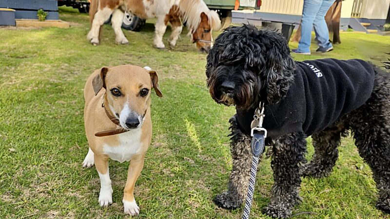 20250719_223921650_iOS