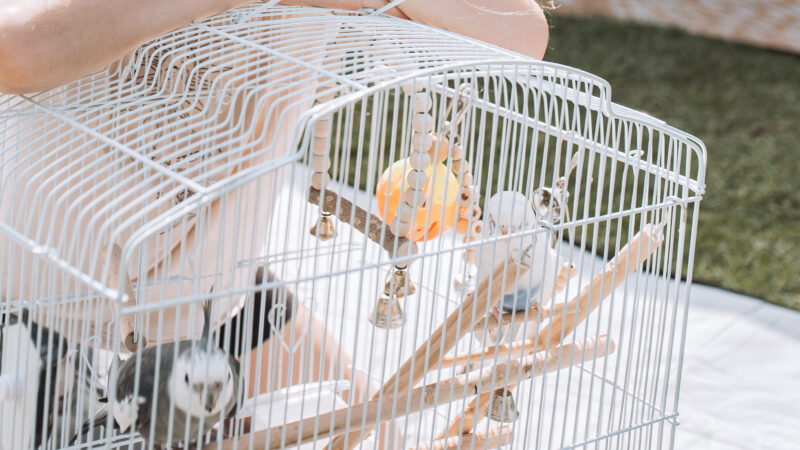 20140525_080345880_iOS