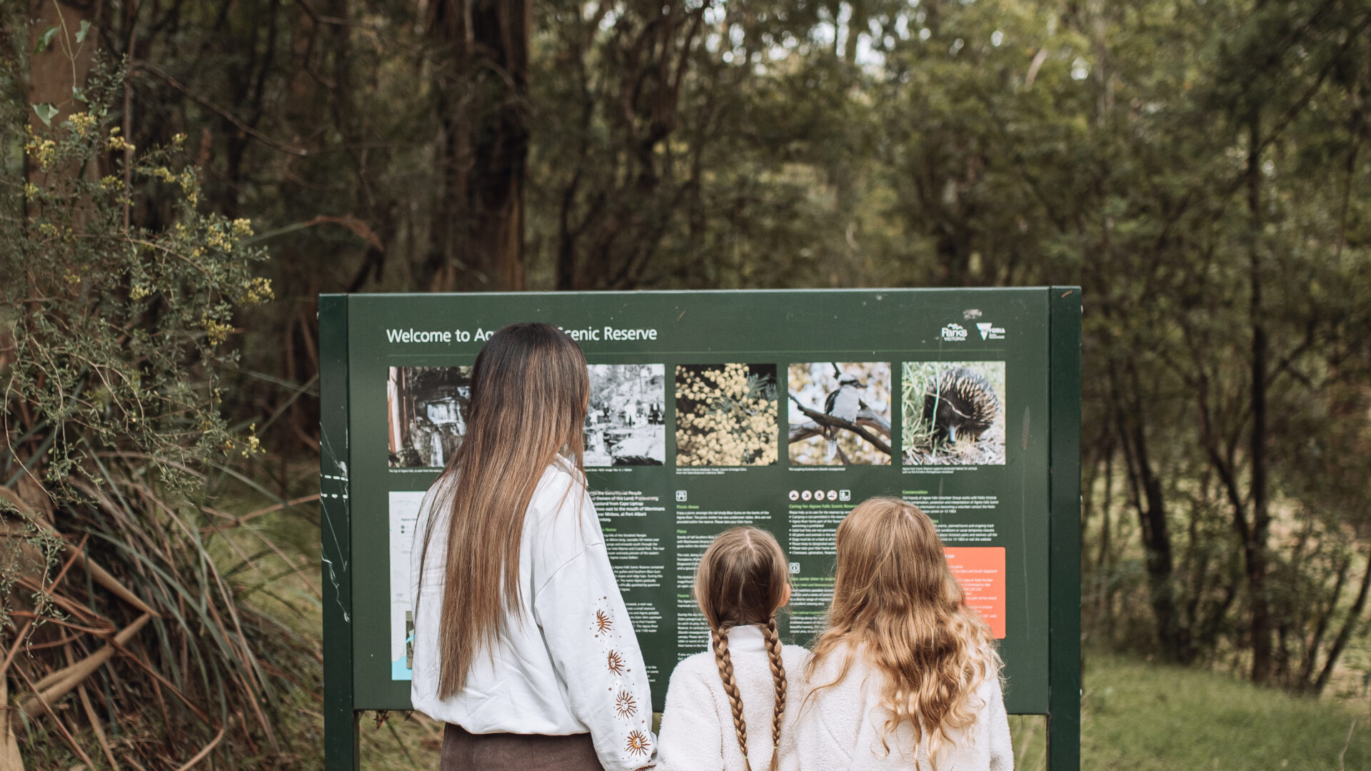 A family of three reading the information sign at Agnes Falls