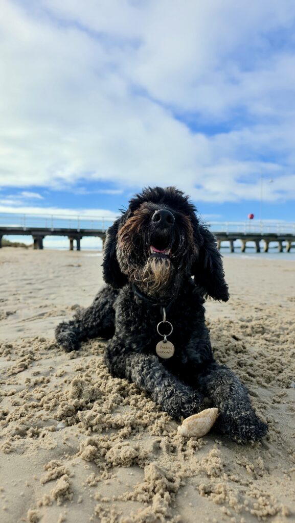 20250407_222930632_iOS