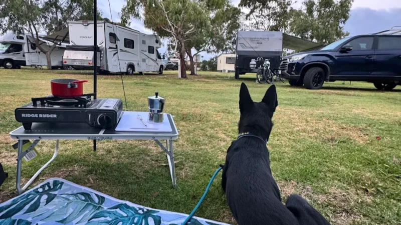 A dog sitting underneath his caravan awning on a rug