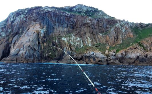 Fishing With Skipper Dave Port Welshpool Wilsons Prom