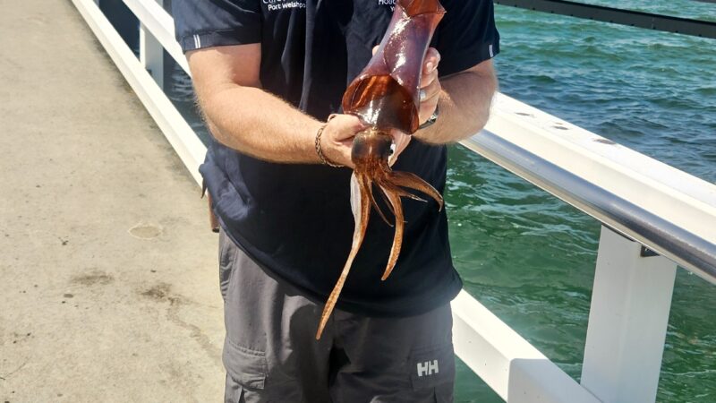 Fishing at Long Jetty