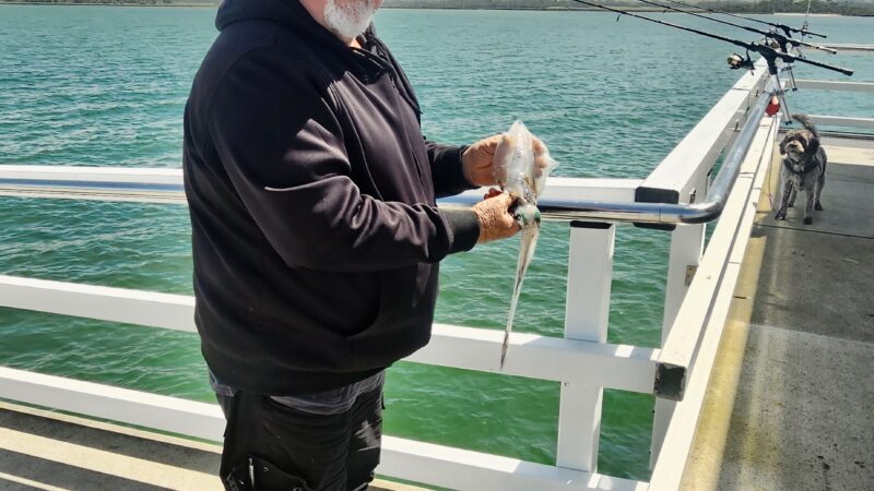 Fishing at Long Jetty